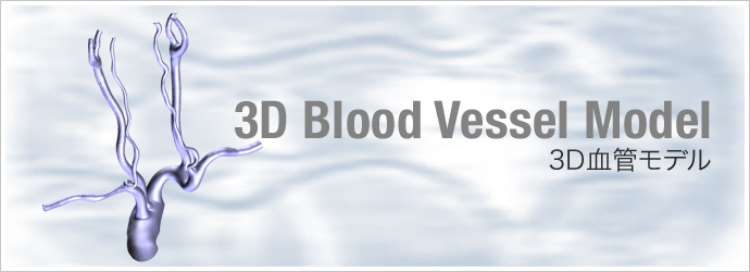 3D血管モデル